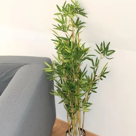 Mila Apartment Valenciennes